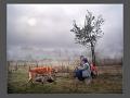 808 - WALK IN THE FOG - DYADKOV VLADIMIR - russian federation